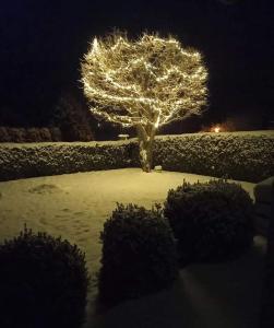 Ferienwohnung Marlene