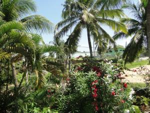 Hotel Pousada Arco Iris
