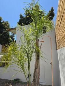 Casa Oasis by Sesimbra Sun Sea