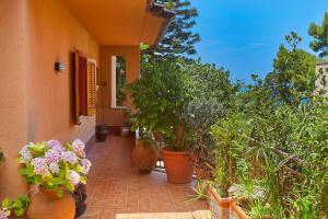 Villa nel verde sul mare, Mondello, Palermo