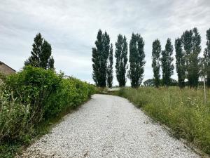 B&B / Chambres d'hotes Chateau Saintonge : photos des chambres