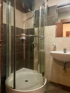 Mountain view 1-bedroom apartment few steps from ski piste and Gondola lift