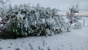 Room 1 Williamstown, Ireland