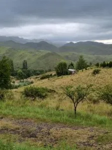 埃斯坦西亚图斯德尔杜拉斯诺酒店 - 特拉皮奇