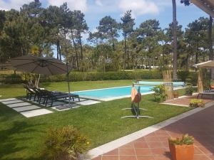 Charming Villa Jarros Private pool & Golf