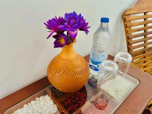 Sunkis lagoon Bentota