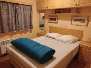 Campings Mobill- home 8 PERSONNES 2 SALLES DE BAIN 2 WC : photos des chambres