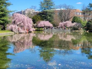 Stay in Historic Brooklyn Townhouse