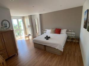 Centro Histórico - Catedral 2