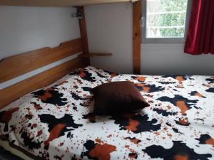Appartements SainT LARY SOULAN : photos des chambres