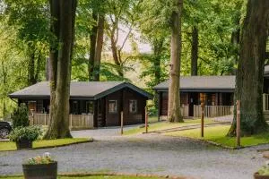 The Jonas Centre - 雷文斯通代尔