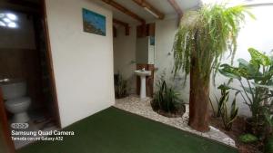 Cabañas Riviera Pacific