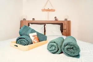 Élégant Duplex Historique Alsacien - 阿格诺