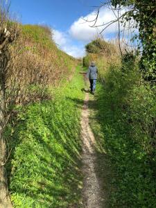 Modern House In Second Row At Rude Strand