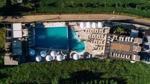 L’INVIDIA - Carpinis