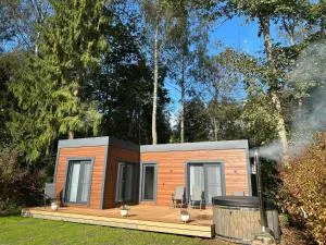 Pietura - 斯伽尔达