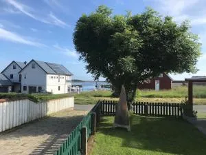 Strandheim - Borhaug