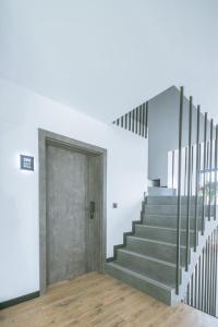 SkyHel Apartament 102