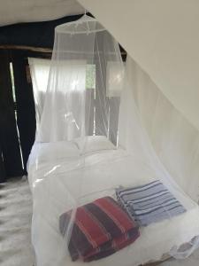 Cabaña Zapote en Rancho Los Jaguares Jungle Retreat Tulum