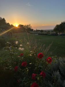 B&B / Chambres d'hotes Au Clair Ventoux B & B - SPA : photos des chambres