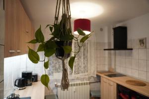 Gabry Elles Cozy Place - Calea Moșilor