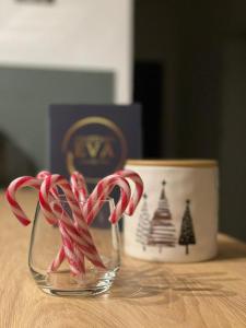 Apartman Eva, moderan stan u srcu Zagorja 