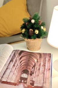 Gaišs un mājīgs dzīvoklis