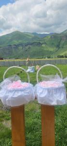 Mountain hut in Kazbegi