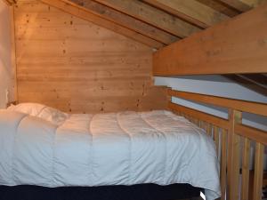 Appartements Studio confortable a Pralognan, proche patinoire et telepherique - FR-1-464-192 : photos des chambres