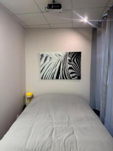 Appartements Logement centre-ville Muret : Appartement 1 Chambre