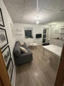 Cozy 2-bedroom apartment close to nature - Miðvágur