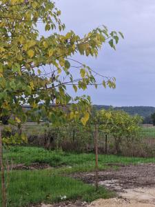 Une maison avec 3 chambres