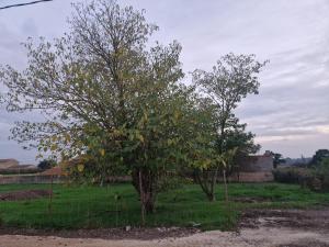 Une maison avec 3 chambres