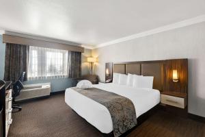 King Room with Roll-in Shower - Disability Access - Non smoking room in Best Western University Inn Santa Clara