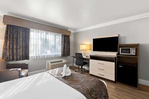 Queen Room - Disability Access - Non Smoking room in Best Western University Inn Santa Clara
