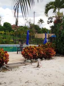 Descanso cafetero apartasol Tebaida