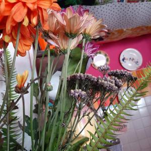 Cozy Botafogo Hostel