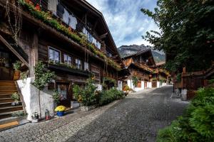 Large apt in town center next to Brunngasse & near lake