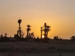 Hôtel super marché - Mhamid