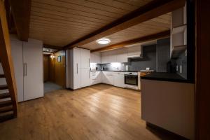 Large apt in town center next to Brunngasse & near lake