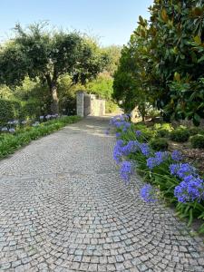 Villas Luxurious sea view villa in Saint Paul de Vence : photos des chambres