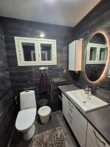 Kodikas talo lähellä napapiiriä