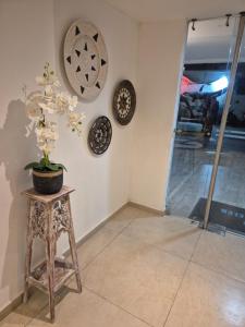 Hansa Coral Club 303