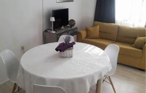 Lovely Home In Gornji Karin With Wifi