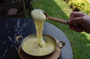 Serbesler Botanik, No 2 Mini House