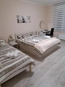 Apartman Dream M Zaječar - 扎耶查尔