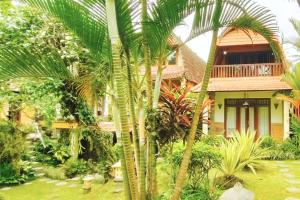 Tropical Deluxe Room Infinity Pool CYN