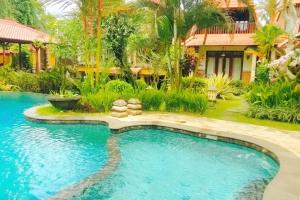 Tropical Deluxe Room Infinity Pool CYN