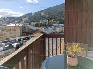 F2 au pied des pistes avec WiFi et parking - FR-1-295-202
