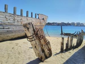 Villas Maison moderne a Plouhinec avec jardin clos, Wifi, animaux admis, proche plages - FR-1-479-181 : photos des chambres